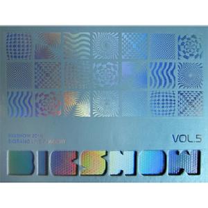 kr.ktown4u.com : 빅뱅 - 2010 빅뱅 콘서트 라이브 앨범 [Big Show]