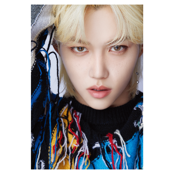 STRAY KIDS - PHOTOCARDS D FESTA 2022