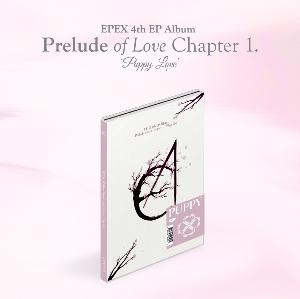 EPEX 4集 サノク ベクスン トレカ ⑥ kr.ktown4u.com : 이펙스 (EPEX) - EP 앨범 4집 [사랑의 서